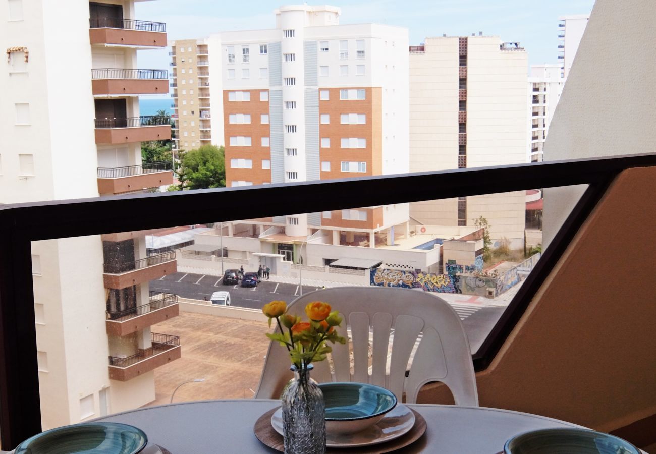 Apartamento en Gandia - ROMA VII - 5ª - 7º - 14ª    /    PLAYA DE GANDIA