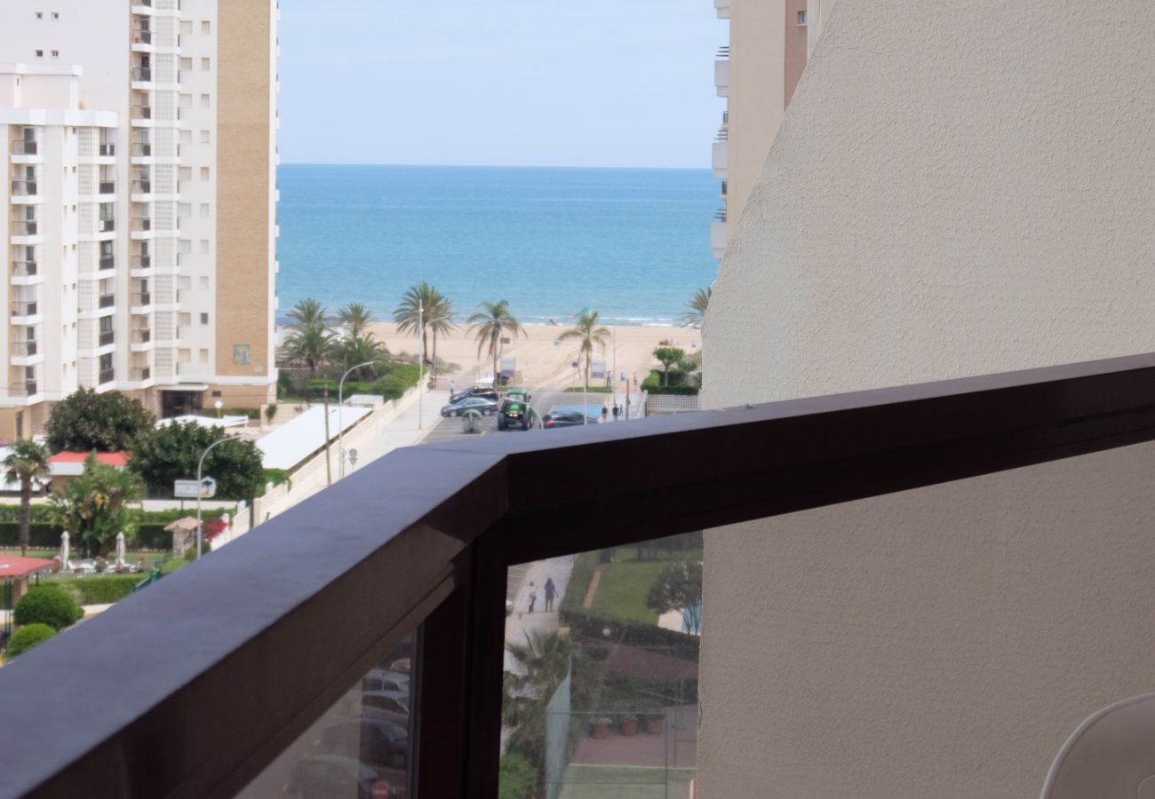 Apartamento en Gandia - ROMA VII - 5ª - 7º - 14ª    /    PLAYA DE GANDIA