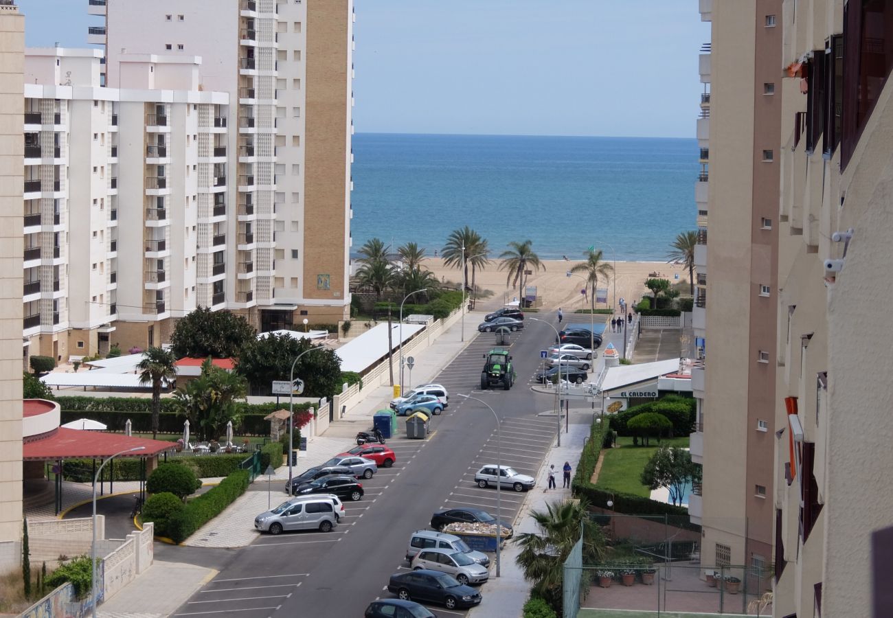 Apartamento en Gandia - ROMA VII - 5ª - 7º - 14ª    /    PLAYA DE GANDIA
