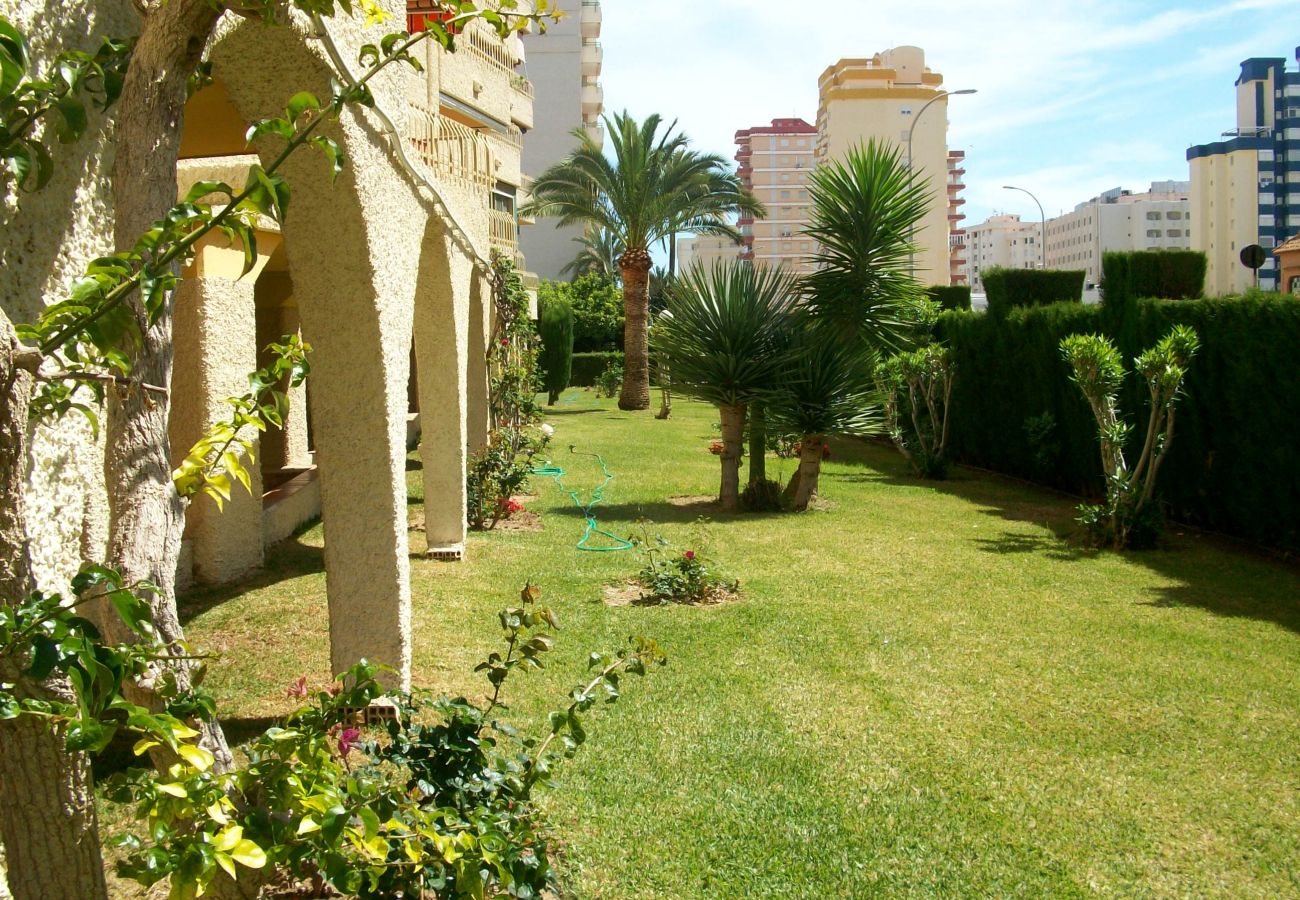 Apartamento en Gandia - ROMA XI - 2ª - 5º - 9ª    /   PLAYA DE GANDIA