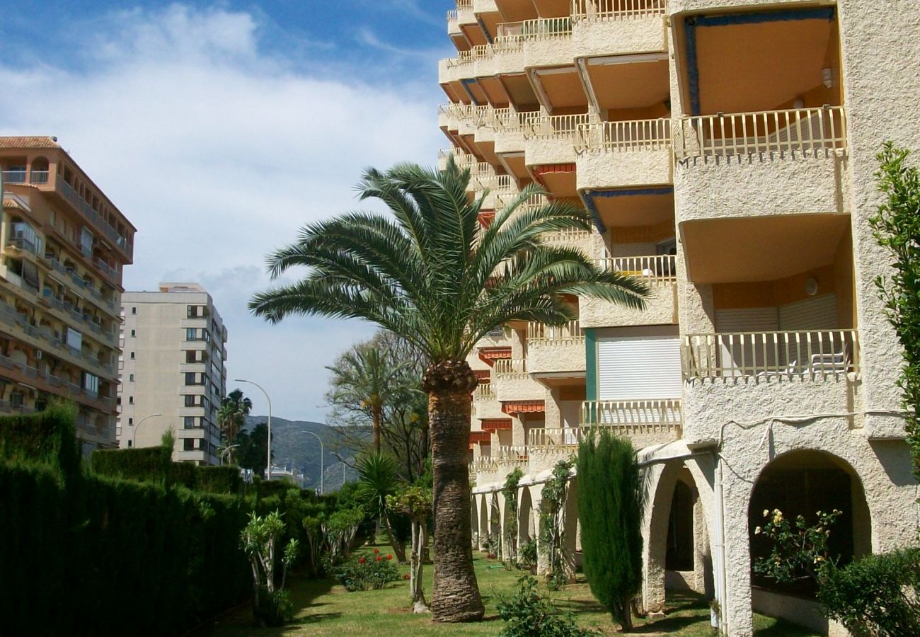 Apartamento en Gandia - ROMA XI - 2ª - 5º - 9ª    /   PLAYA DE GANDIA