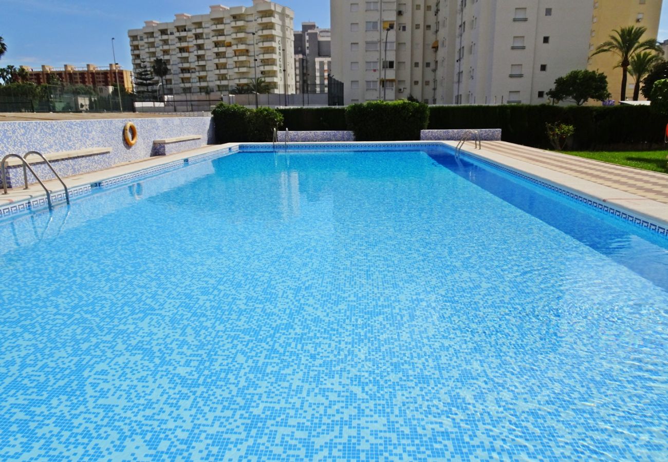Apartamento en Gandia - ROMA XI - 2ª - 5º - 9ª    /   PLAYA DE GANDIA