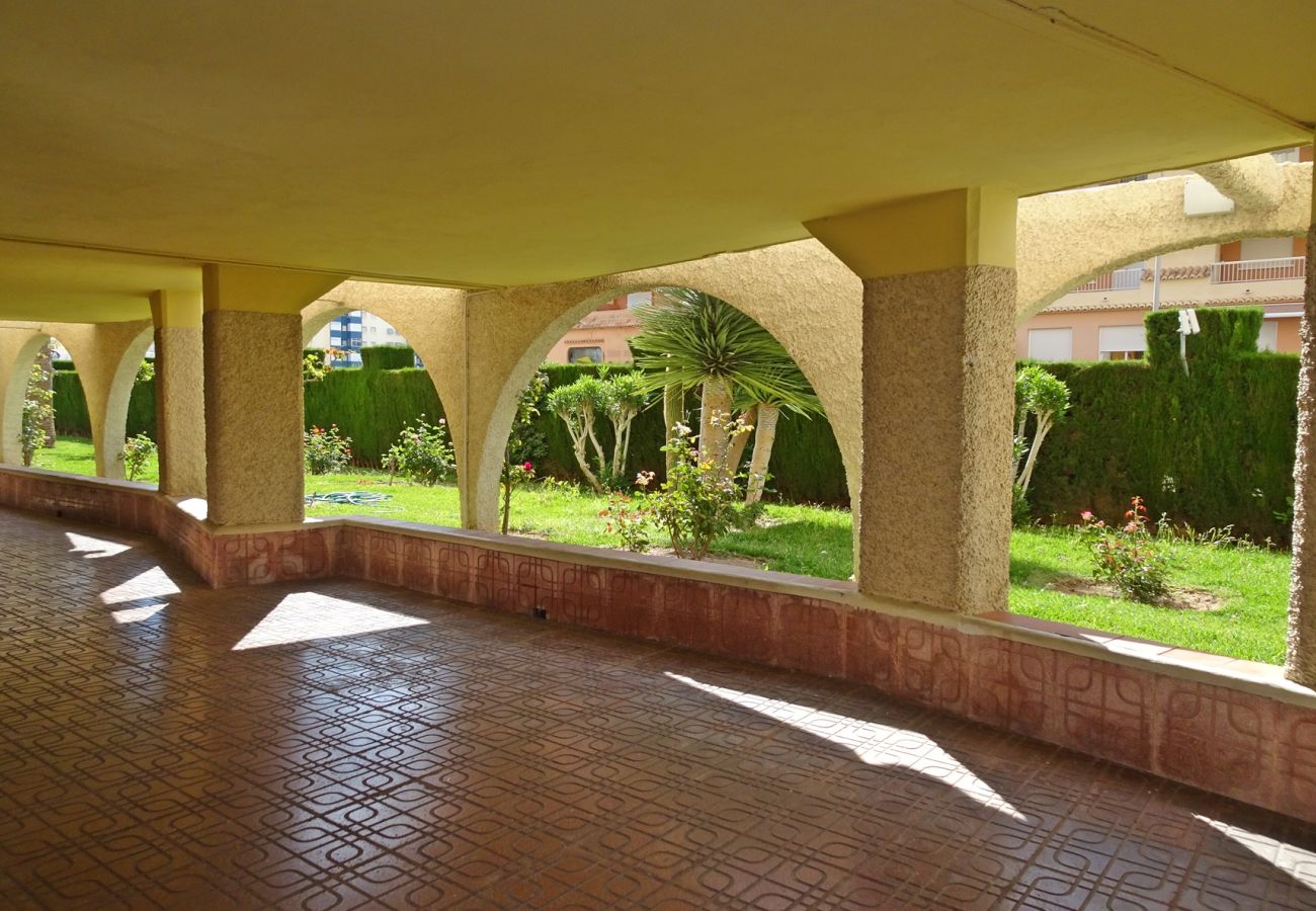Apartamento en Gandia - ROMA XI - 2ª - 5º - 9ª    /   PLAYA DE GANDIA