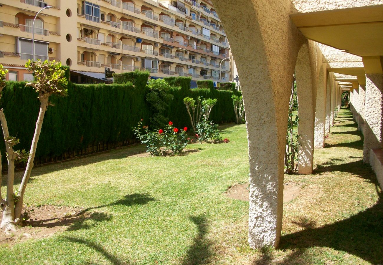 Apartamento en Gandia - ROMA XI - 2ª - 5º - 9ª    /   PLAYA DE GANDIA