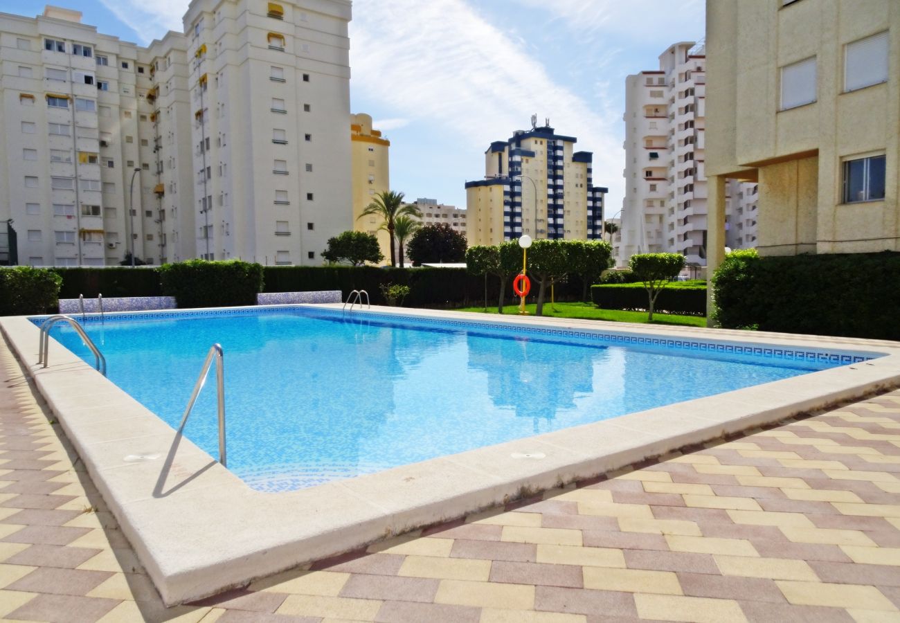 Apartamento en Gandia - ROMA XI - 2ª - 5º - 9ª    /   PLAYA DE GANDIA