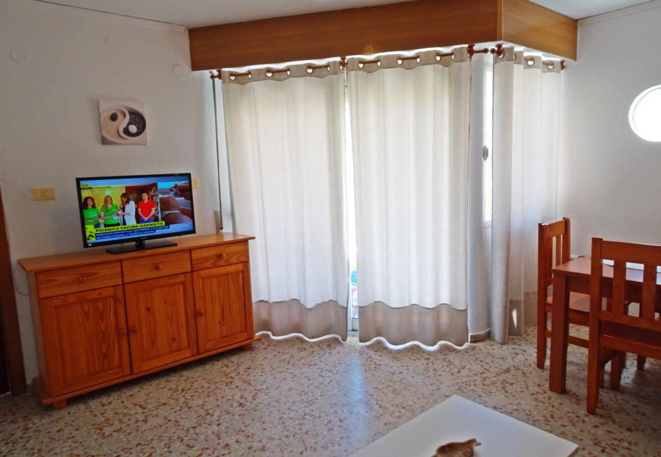 Apartamento en Gandia - ROMA XI - 2ª - 5º - 9ª    /   PLAYA DE GANDIA