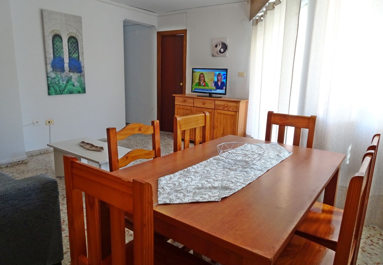 Apartamento en Gandia - ROMA XI - 2ª - 5º - 9ª    /   PLAYA DE GANDIA