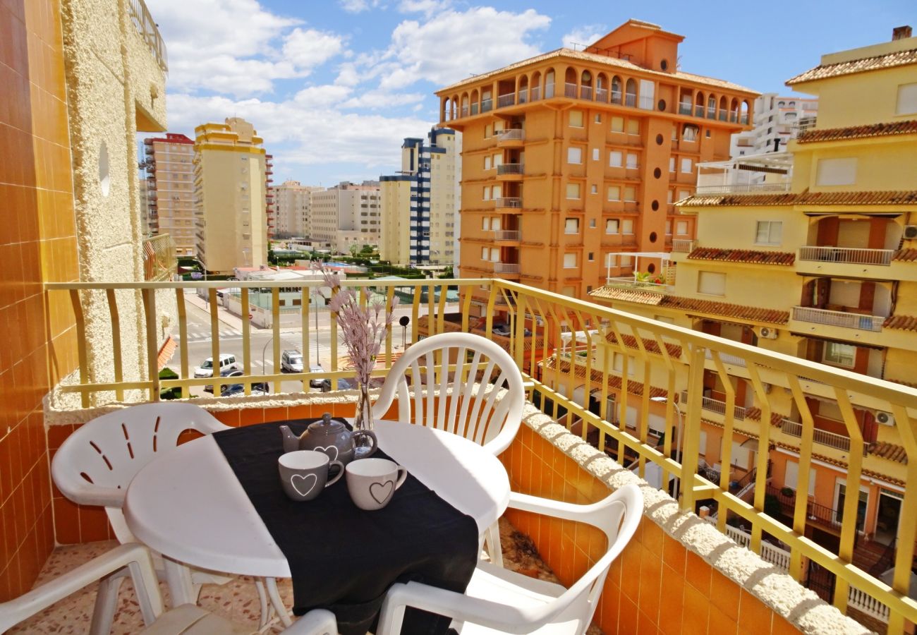 Apartamento en Gandia - ROMA XI - 2ª - 5º - 9ª    /   PLAYA DE GANDIA