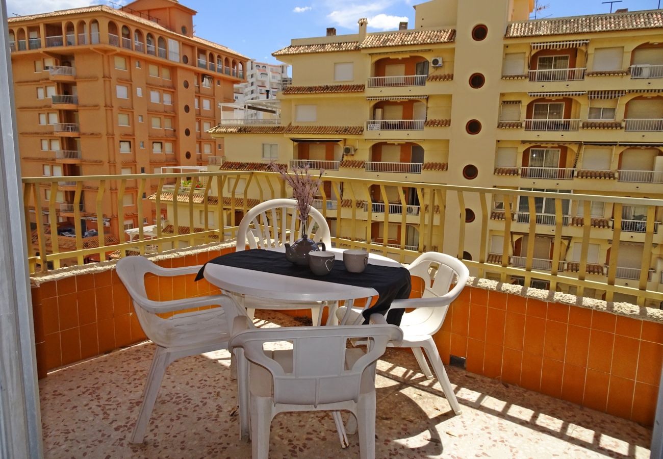Apartamento en Gandia - ROMA XI - 2ª - 5º - 9ª    /   PLAYA DE GANDIA