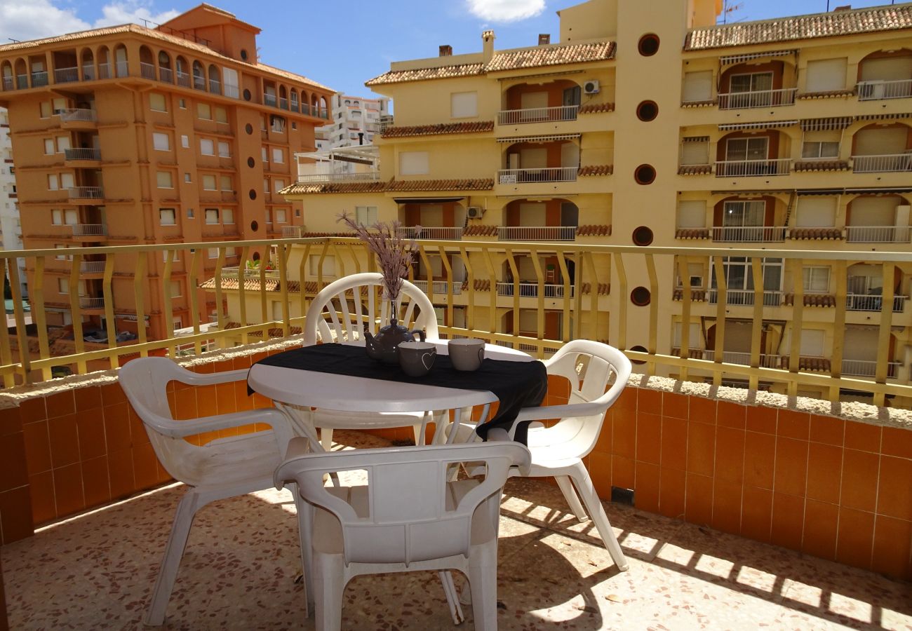 Apartamento en Gandia - ROMA XI - 2ª - 5º - 9ª    /   PLAYA DE GANDIA