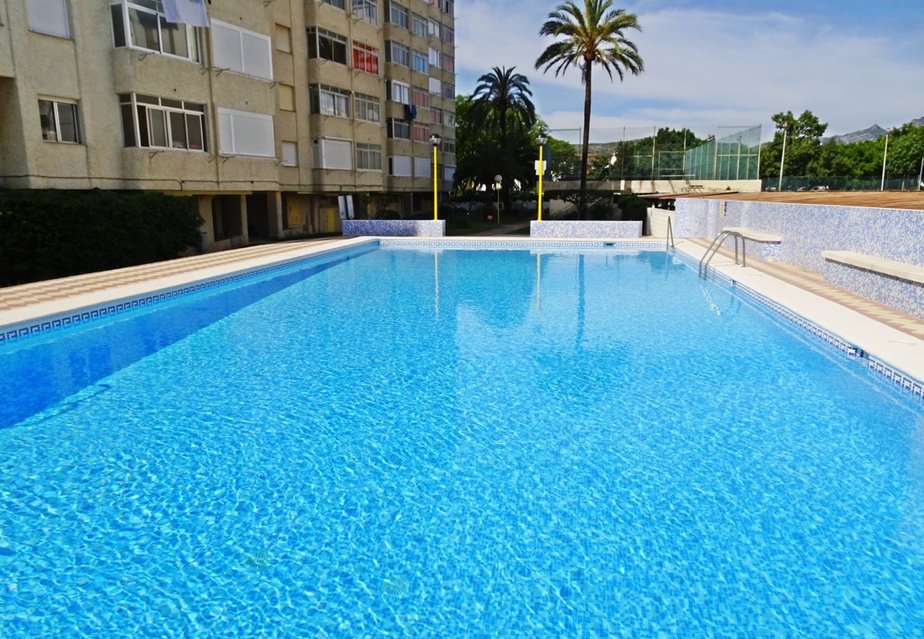 Apartamento en Gandia - ROMA XI - 2ª - 5º - 9ª    /   PLAYA DE GANDIA