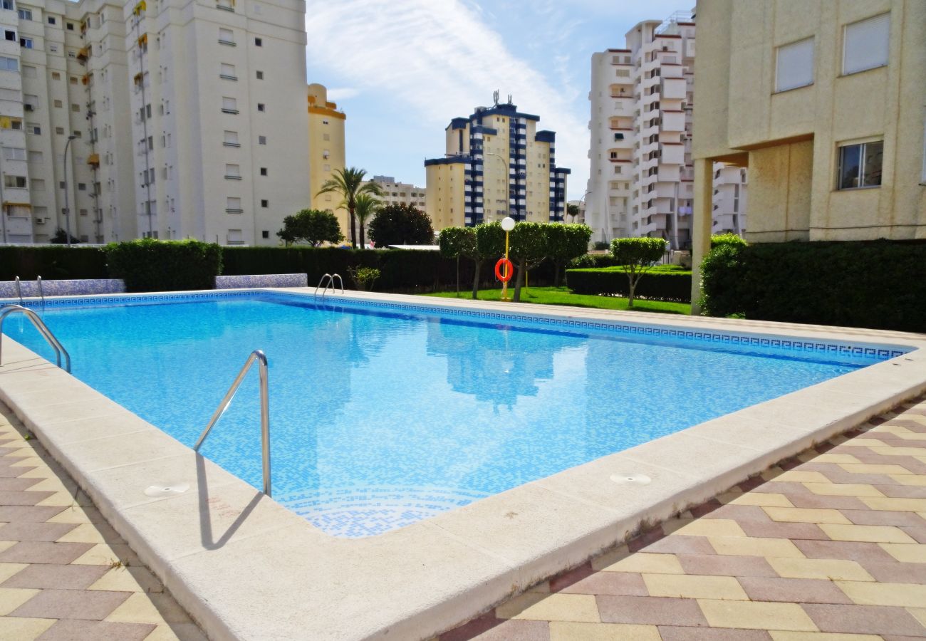 Apartamento en Gandia - ROMA XI - 2ª - 5º - 9ª    /   PLAYA DE GANDIA