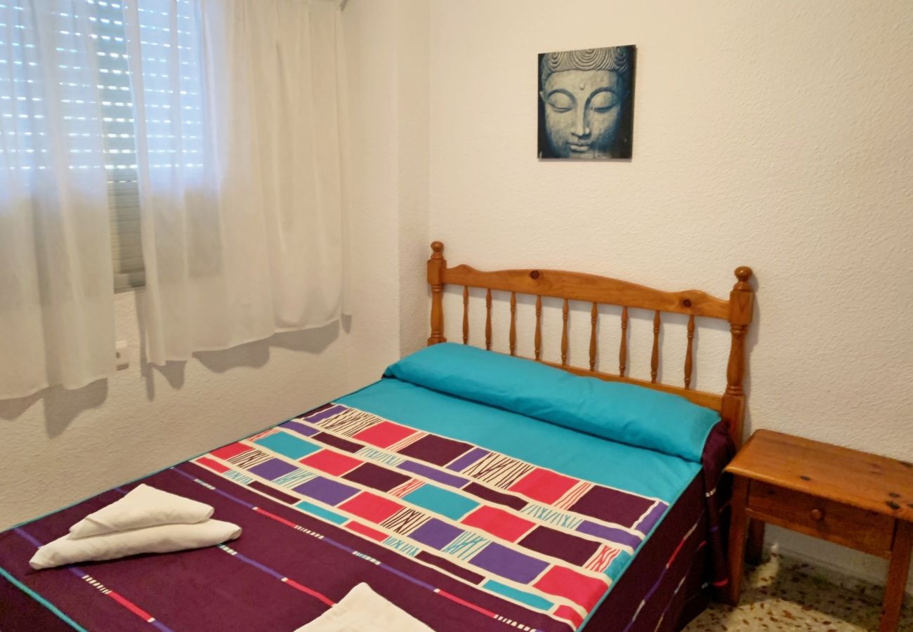 Apartamento en Gandia - ROMA XI - 2ª - 5º - 10ª   /    PLAYA DE GANDIA