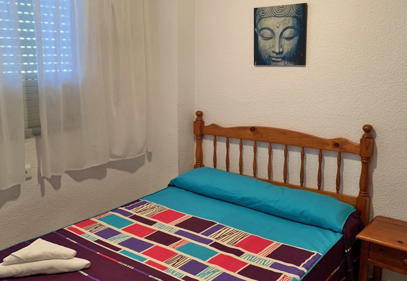 Apartamento en Gandia - ROMA XI - 2ª - 5º - 10ª   /    PLAYA DE GANDIA