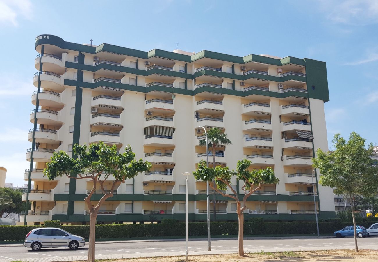 Apartamento en Gandia - ROMA XII - 3ª - 3º - 5ª    /    PLAYA DE GANDIA