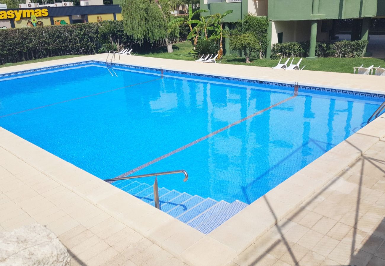Apartamento en Gandia - ROMA XII - 3ª - 3º - 5ª    /    PLAYA DE GANDIA