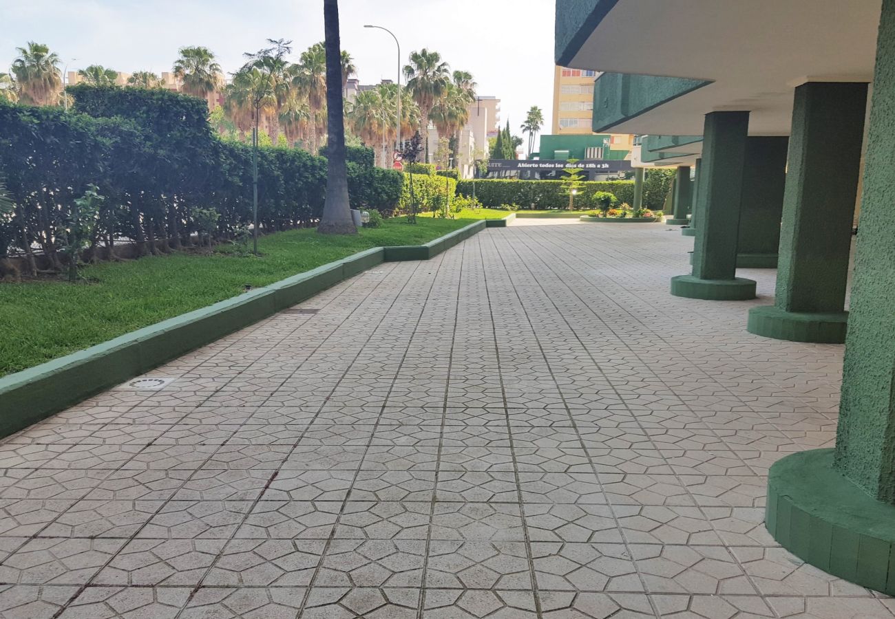 Apartamento en Gandia - ROMA XII - 3ª - 3º - 5ª    /    PLAYA DE GANDIA