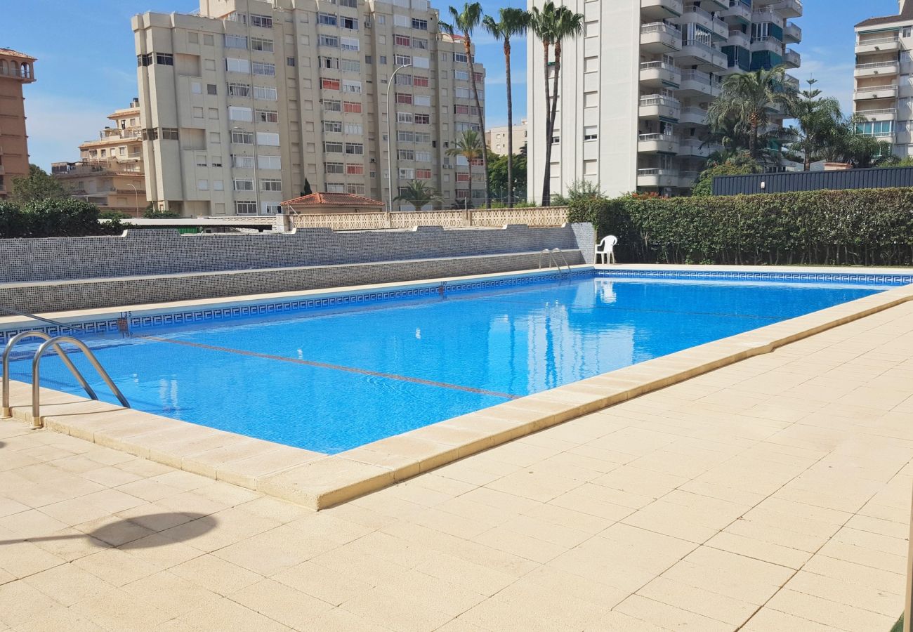 Apartamento en Gandia - ROMA XII - 3ª - 3º - 5ª    /    PLAYA DE GANDIA
