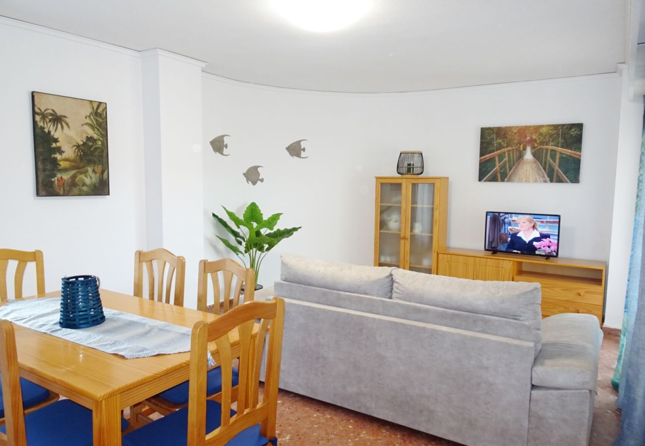 Apartamento en Gandia - ROMA XII - 3ª - 3º - 5ª    /    PLAYA DE GANDIA