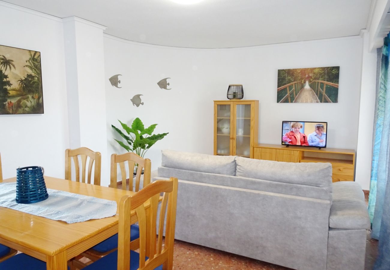 Apartamento en Gandia - ROMA XII - 3ª - 3º - 5ª    /    PLAYA DE GANDIA
