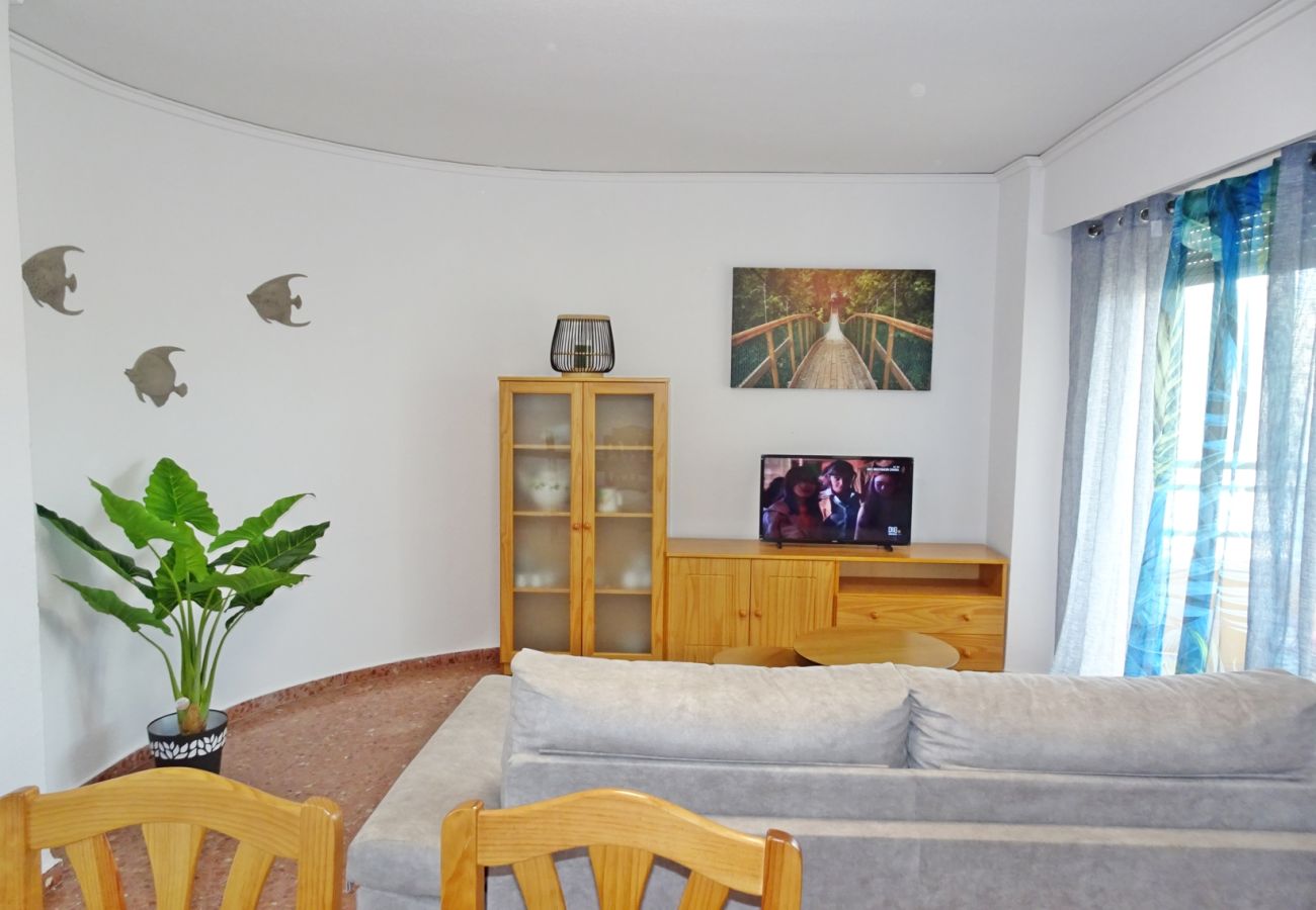 Apartamento en Gandia - ROMA XII - 3ª - 3º - 5ª    /    PLAYA DE GANDIA