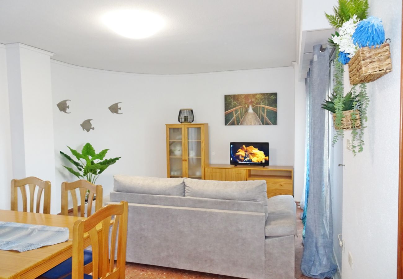 Apartamento en Gandia - ROMA XII - 3ª - 3º - 5ª    /    PLAYA DE GANDIA
