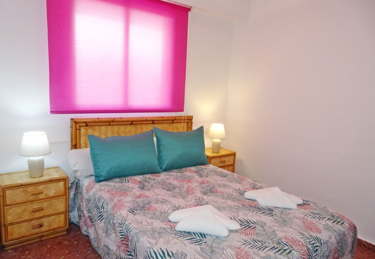 Apartamento en Gandia - ROMA XII - 3ª - 3º - 5ª    /    PLAYA DE GANDIA