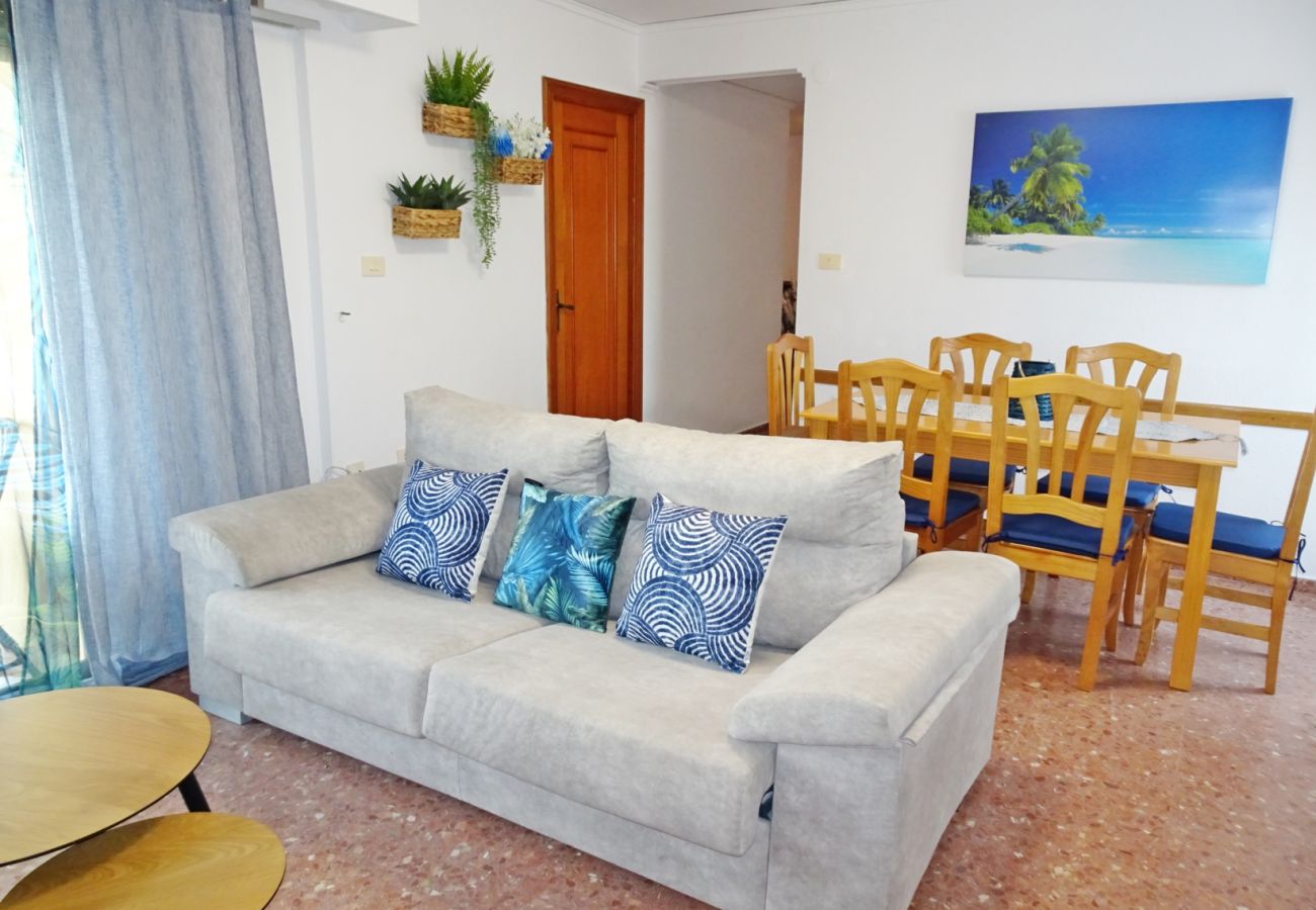 Apartamento en Gandia - ROMA XII - 3ª - 3º - 5ª    /    PLAYA DE GANDIA