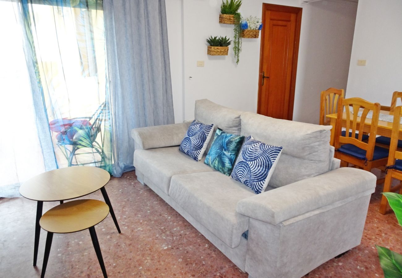 Apartamento en Gandia - ROMA XII - 3ª - 3º - 5ª    /    PLAYA DE GANDIA