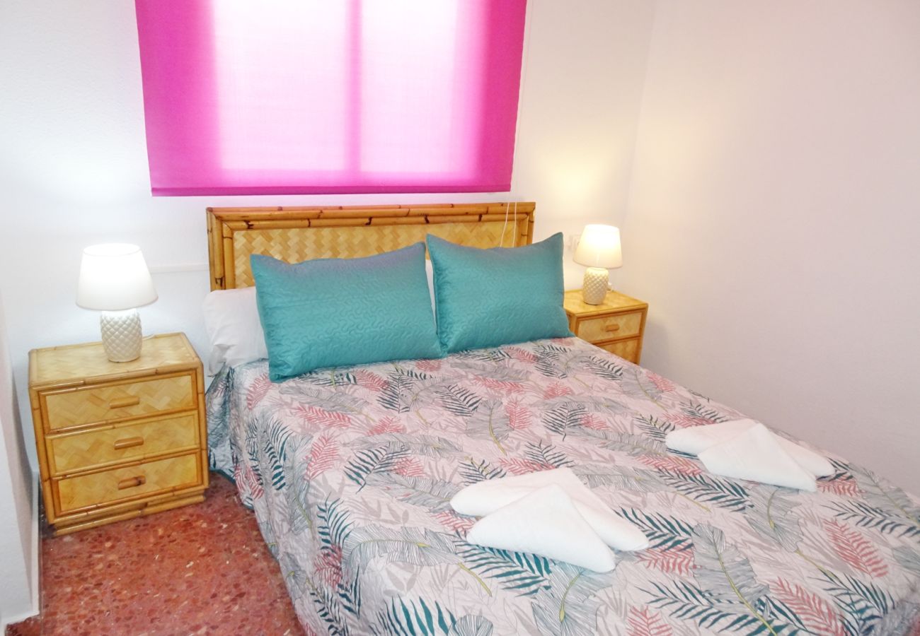 Apartamento en Gandia - ROMA XII - 3ª - 3º - 5ª    /    PLAYA DE GANDIA