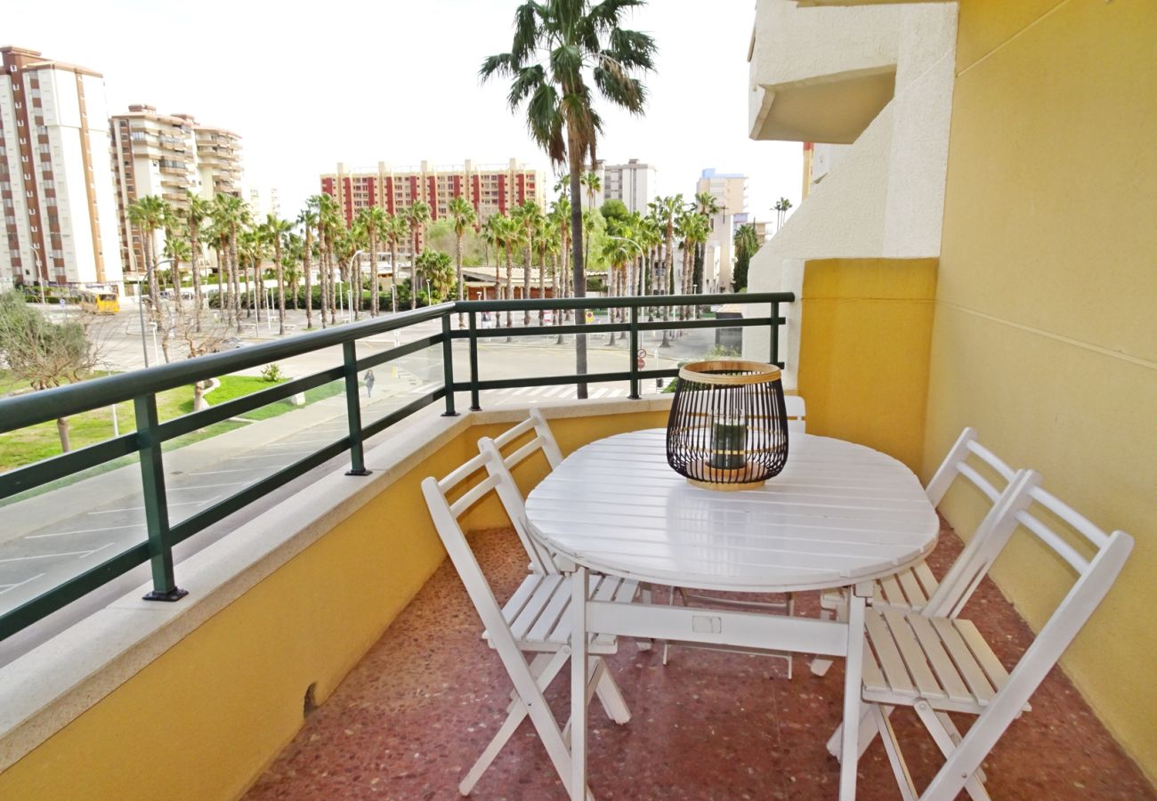 Apartamento en Gandia - ROMA XII - 3ª - 3º - 5ª    /    PLAYA DE GANDIA