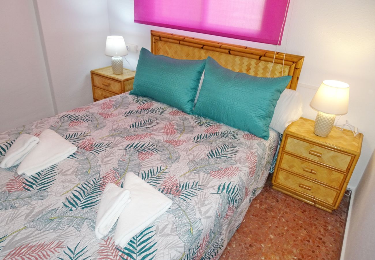 Apartamento en Gandia - ROMA XII - 3ª - 3º - 5ª    /    PLAYA DE GANDIA