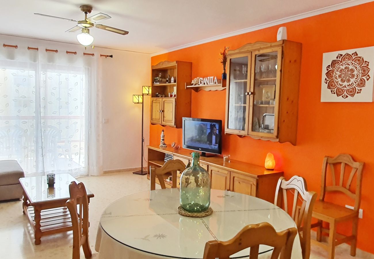 Apartamento en Gandia - SALINAS IV  5ª - 3º - K    /   PLAYA DE GANDIA