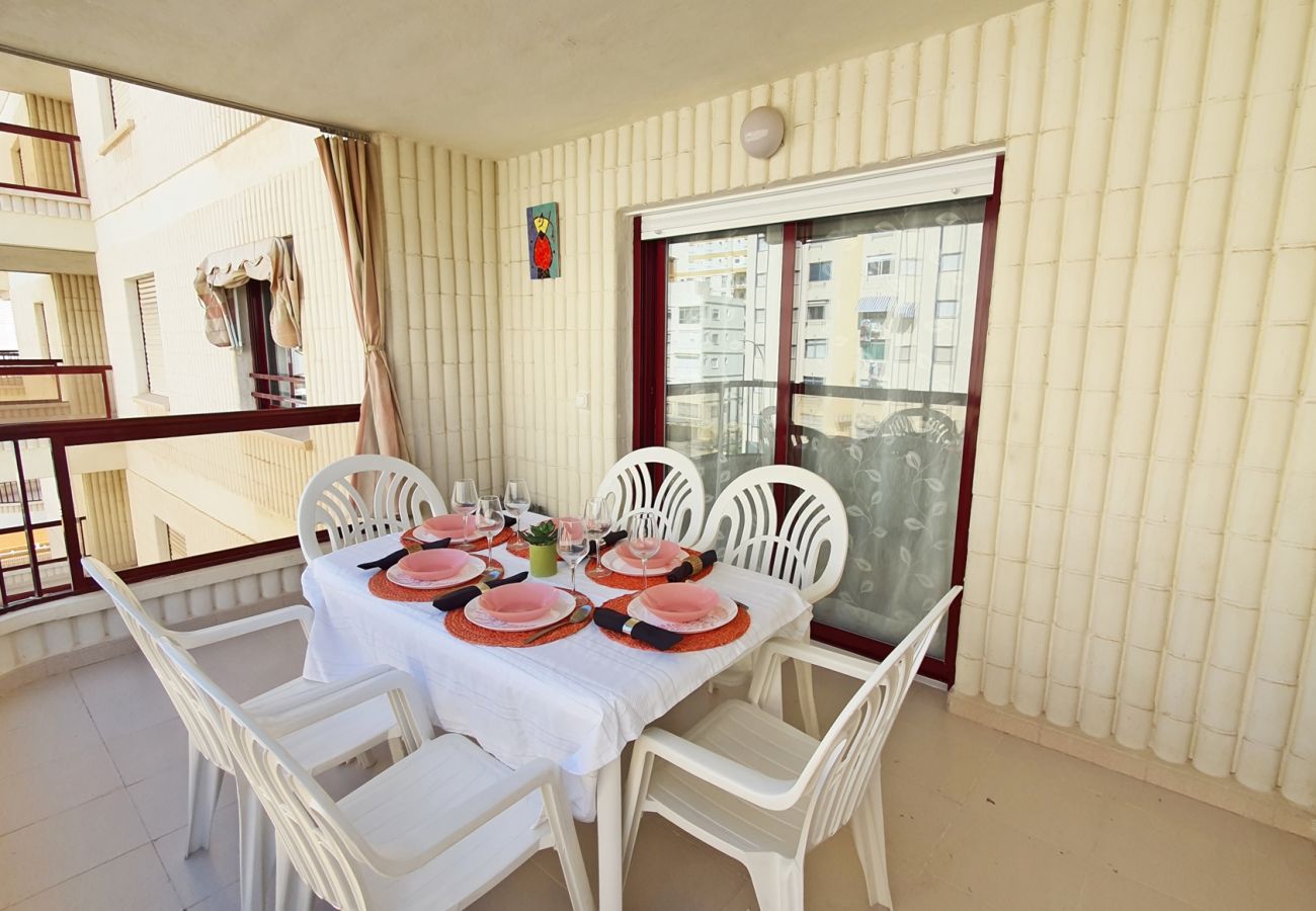 Apartamento en Gandia - SALINAS IV  5ª - 3º - K    /   PLAYA DE GANDIA