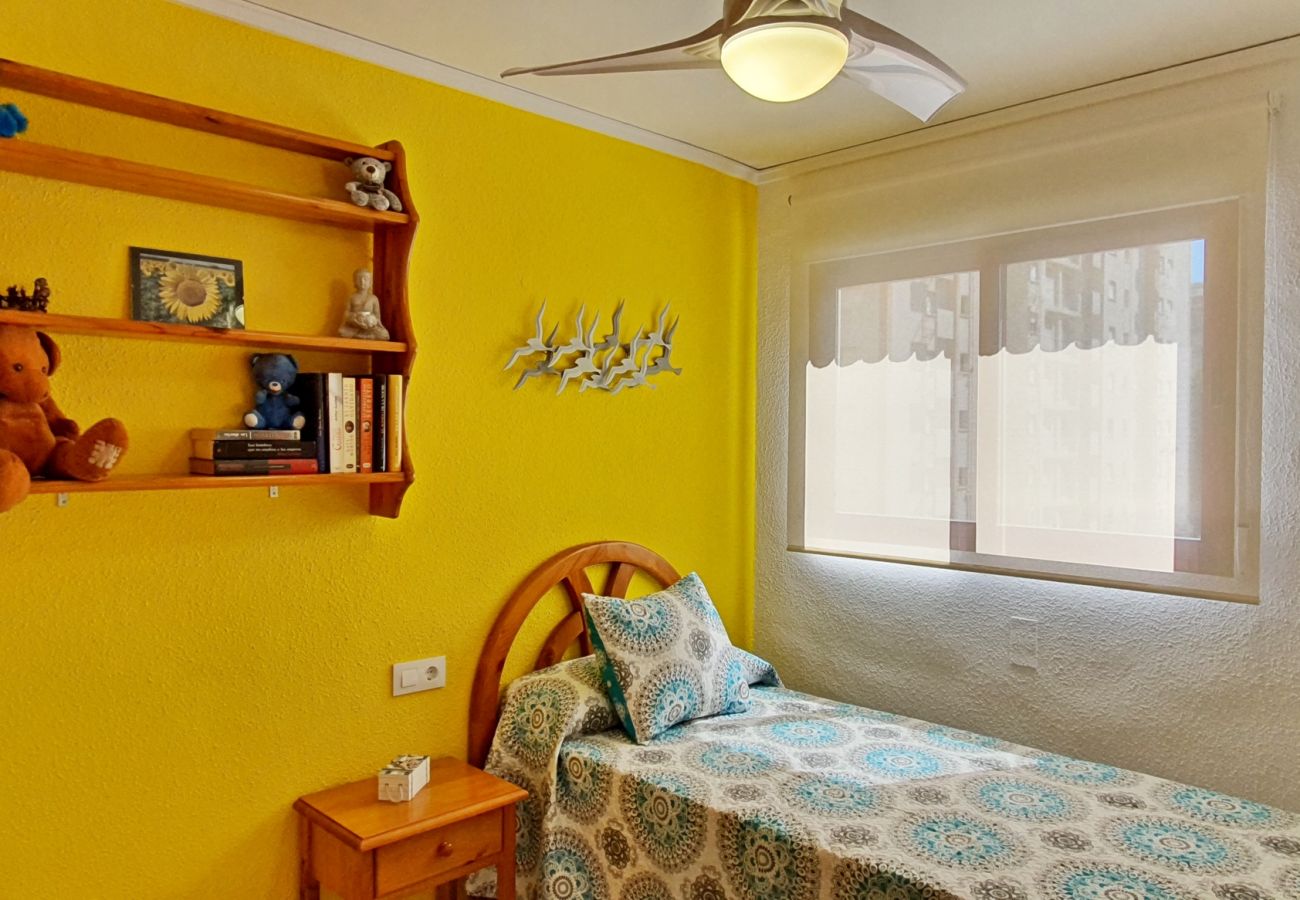 Apartamento en Gandia - SALINAS IV  5ª - 3º - K    /   PLAYA DE GANDIA