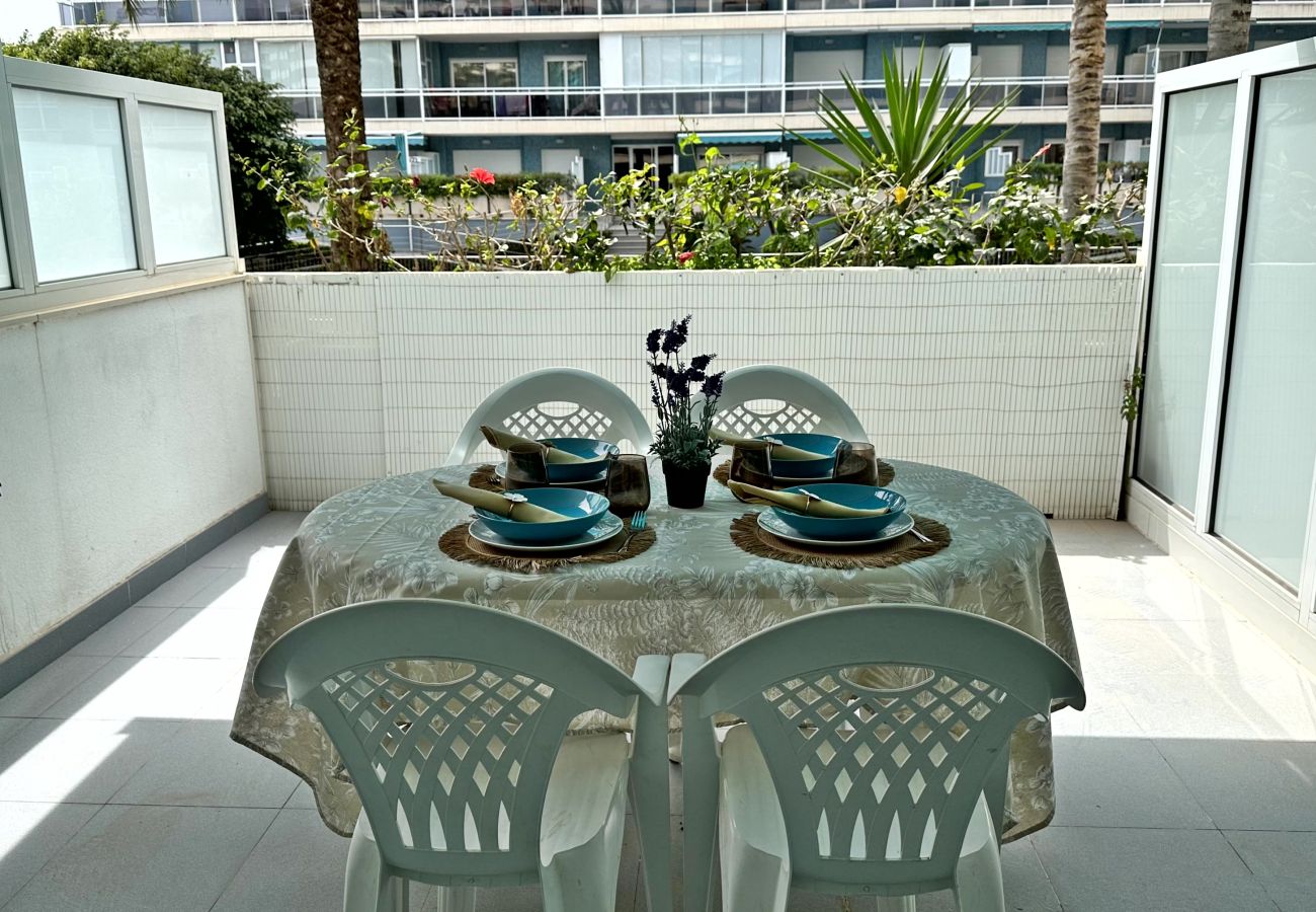 Apartamento en Gandia - ATHENEA Bl C - 3ª - Bajo I    /  PLAYA DE GANDIA