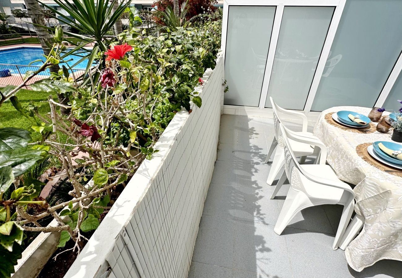 Apartamento en Gandia - ATHENEA Bl C - 3ª - Bajo I    /  PLAYA DE GANDIA
