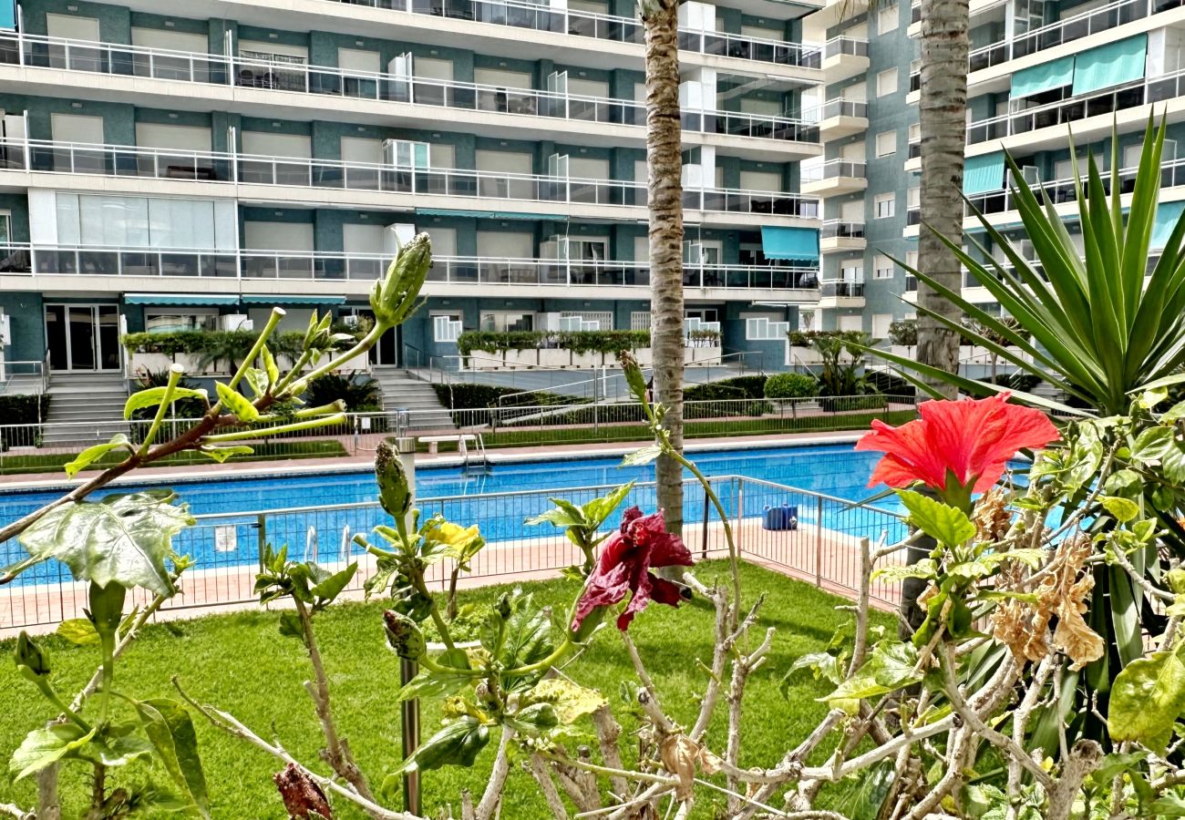 Apartamento en Gandia - ATHENEA Bl C - 3ª - Bajo I    /  PLAYA DE GANDIA