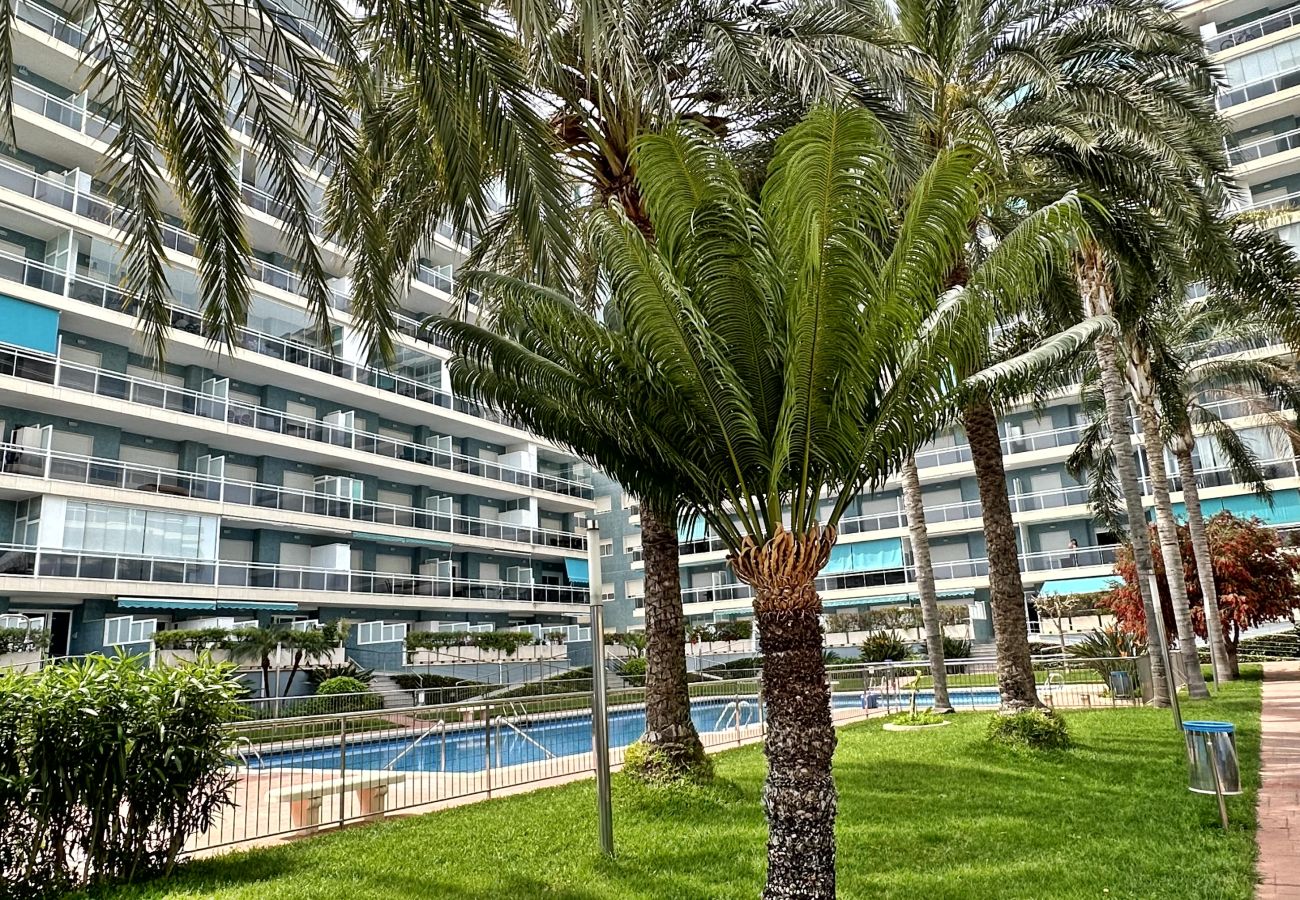 Apartamento en Gandia - ATHENEA Bl C - 3ª - Bajo I    /  PLAYA DE GANDIA