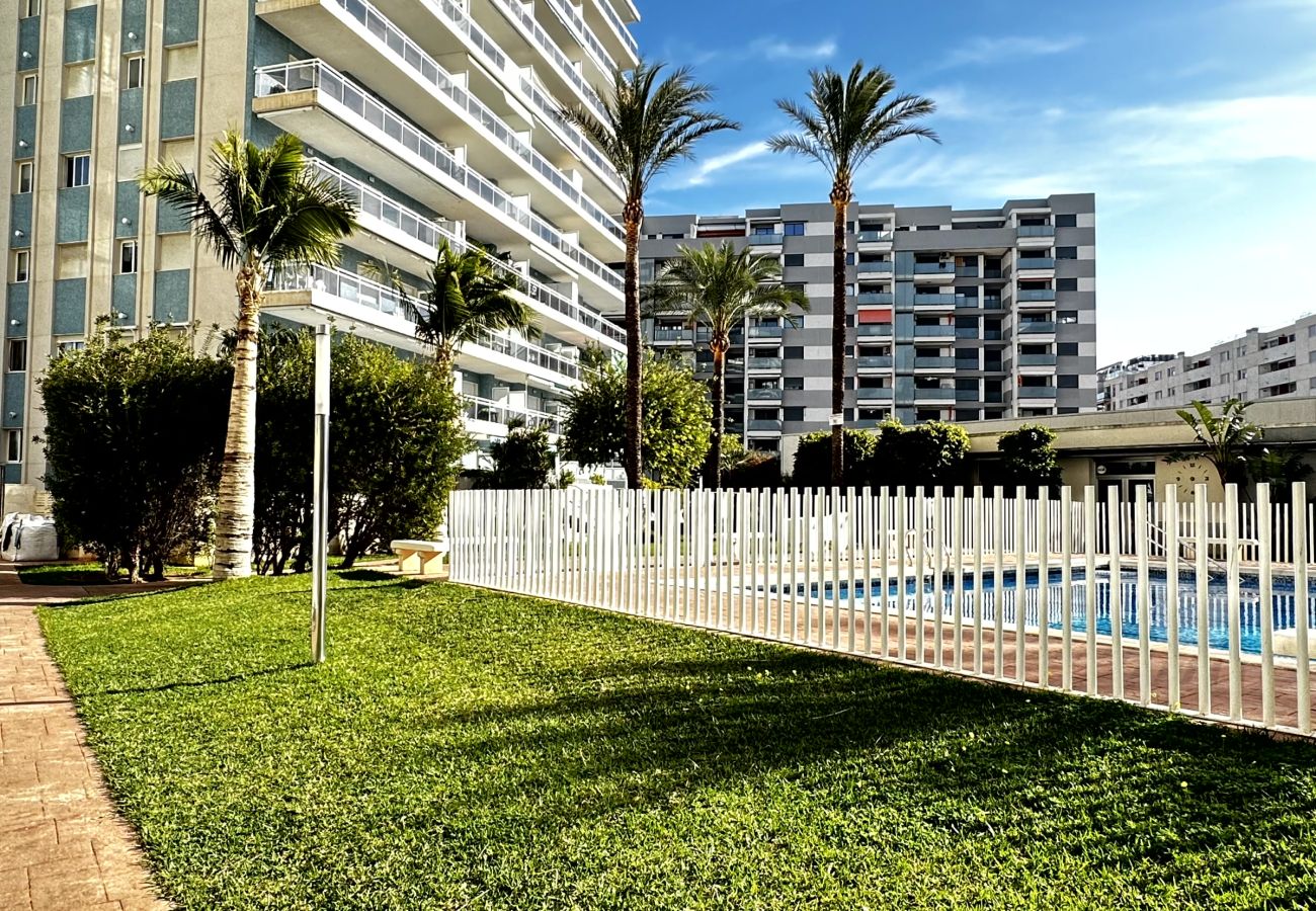 Apartamento en Gandia - ATHENEA Bl C - 3ª - Bajo I    /  PLAYA DE GANDIA