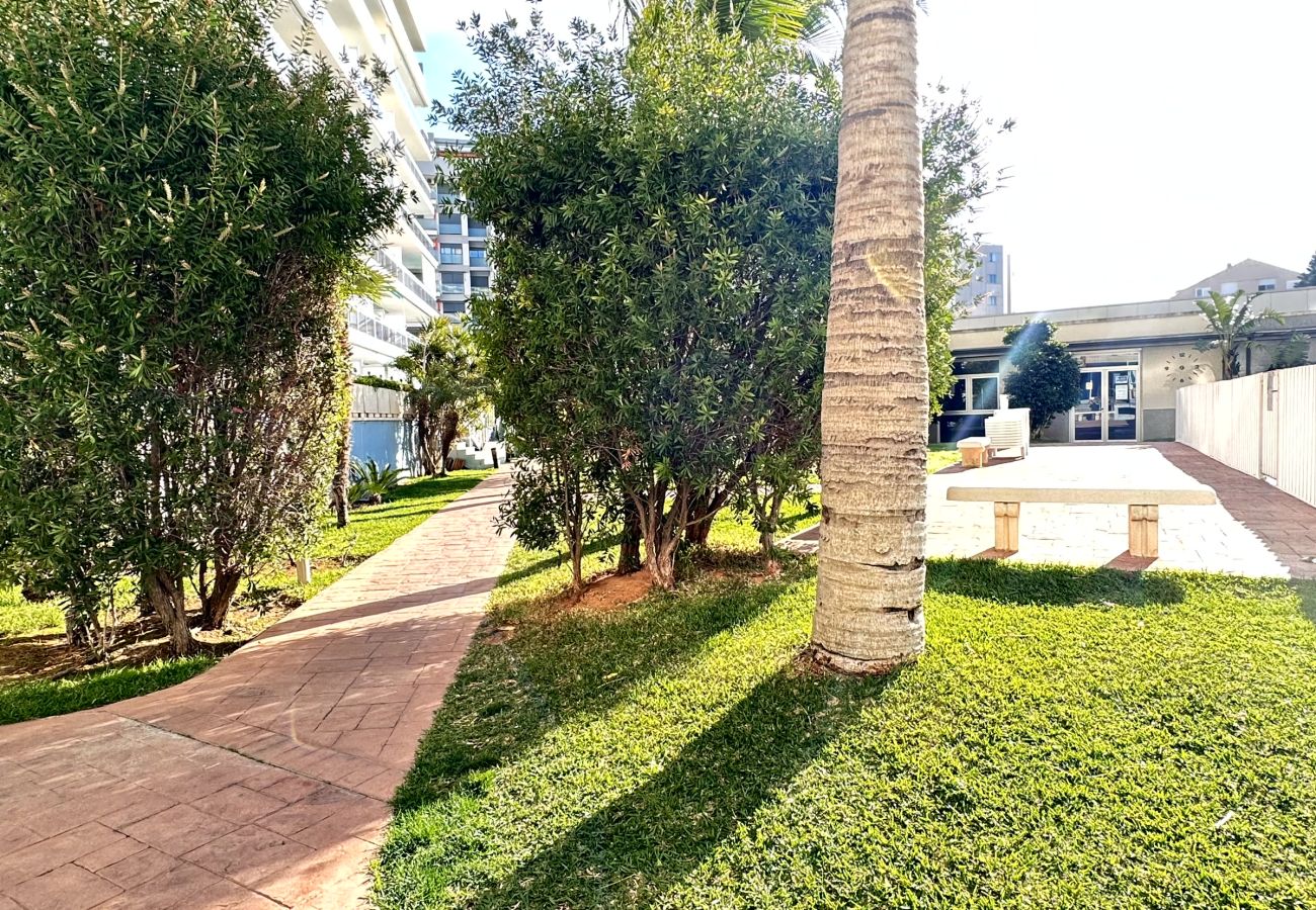 Apartamento en Gandia - ATHENEA Bl C - 3ª - Bajo I    /  PLAYA DE GANDIA