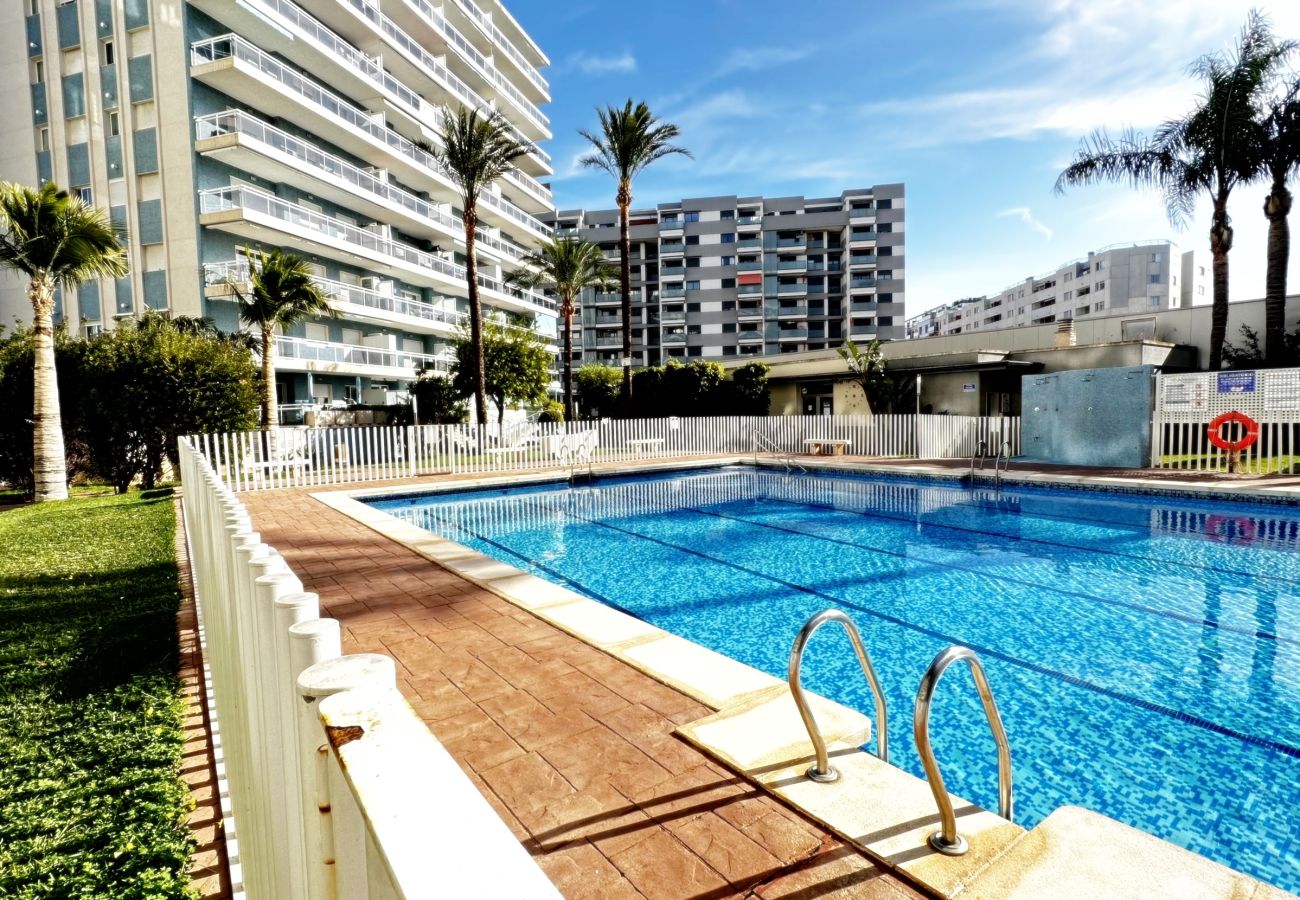 Apartamento en Gandia - ATHENEA Bl C - 3ª - Bajo I    /  PLAYA DE GANDIA