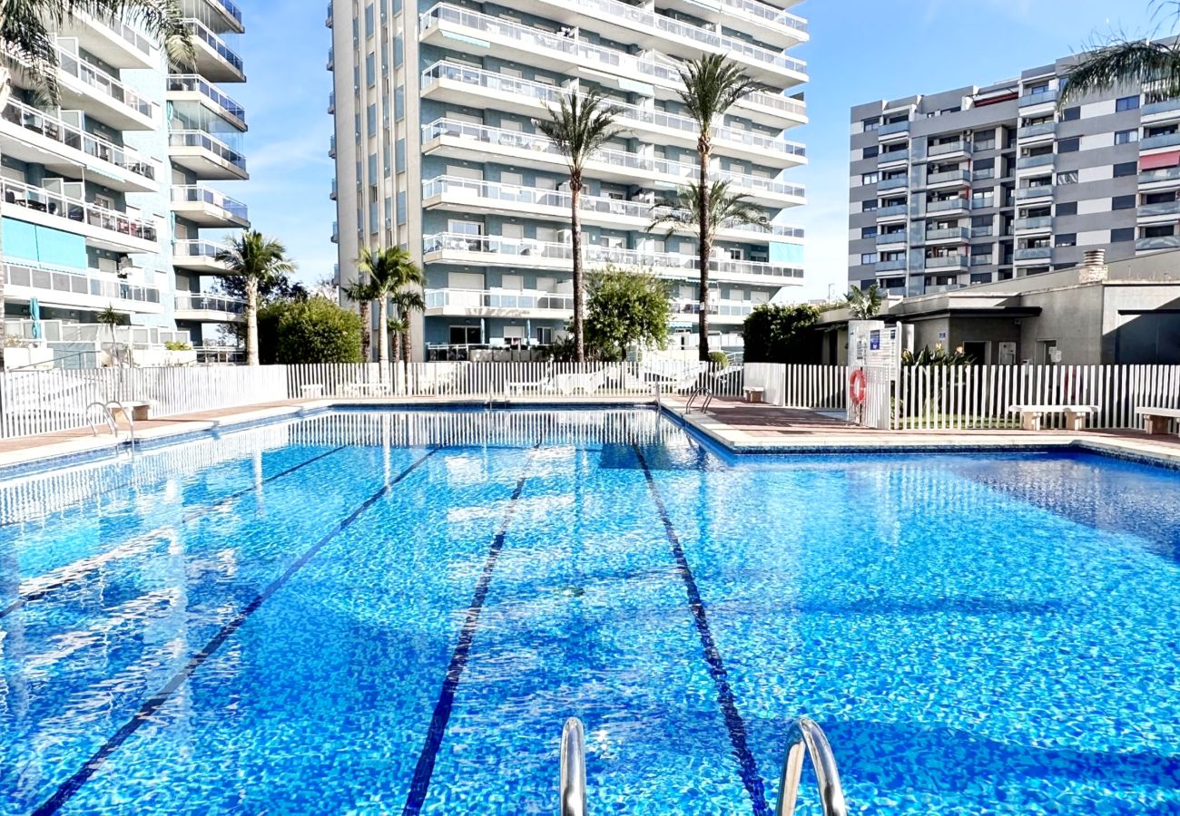 Apartamento en Gandia - ATHENEA Bl C - 3ª - Bajo I    /  PLAYA DE GANDIA
