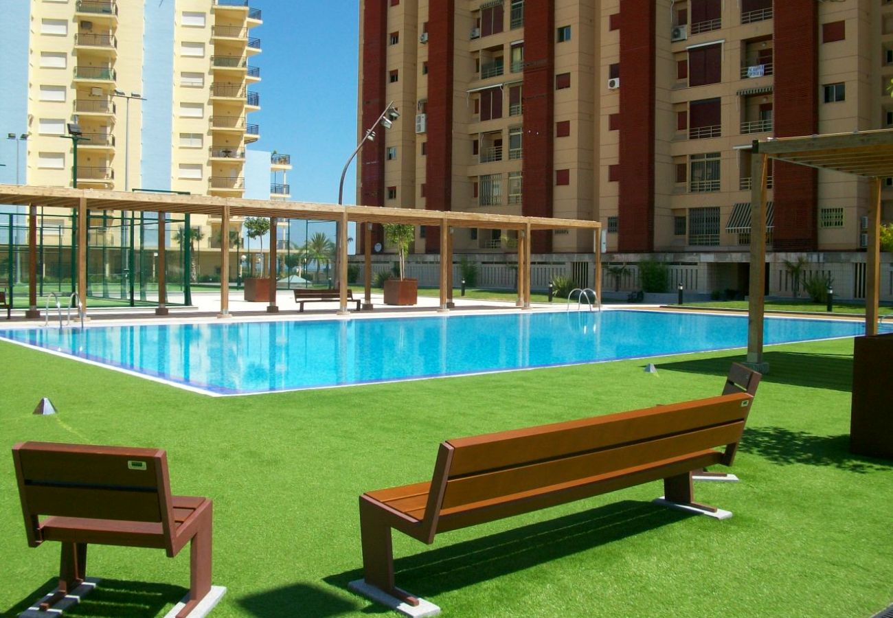 Apartamento en Gandia - BERMUDAS 4ª - 1º - G   /    PLAYA DE GANDIA