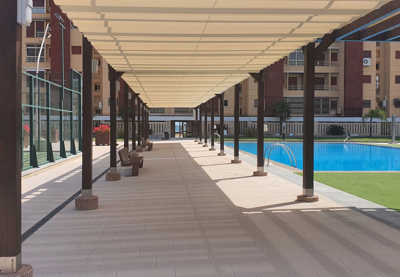 Apartamento en Gandia - BERMUDAS 4ª - 1º - G   /    PLAYA DE GANDIA