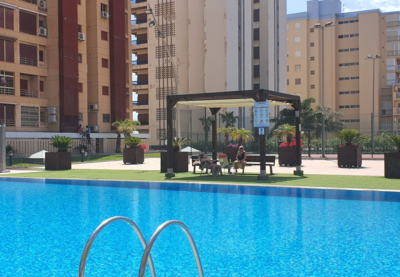 Apartamento en Gandia - BERMUDAS 4ª - 1º - G   /    PLAYA DE GANDIA