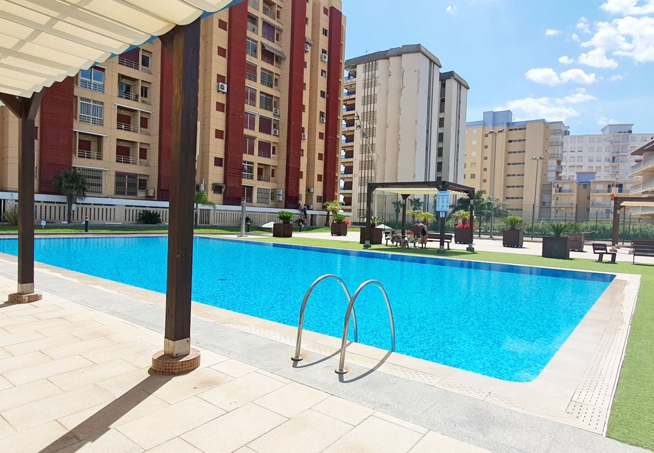 Apartamento en Gandia - BERMUDAS 4ª - 1º - G   /    PLAYA DE GANDIA