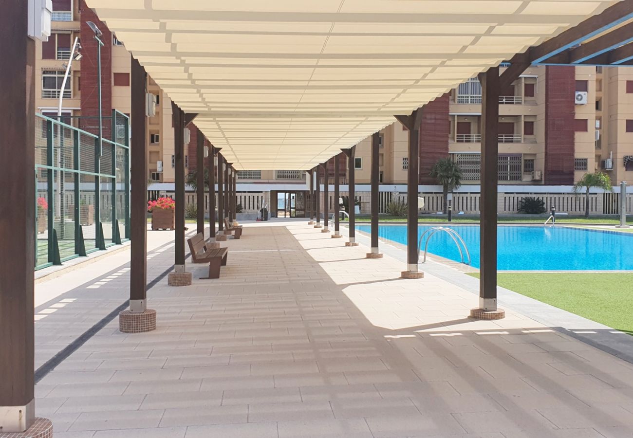 Apartamento en Gandia - BERMUDAS 5ª - 6º - I    /  PLAYA DE GANDIA