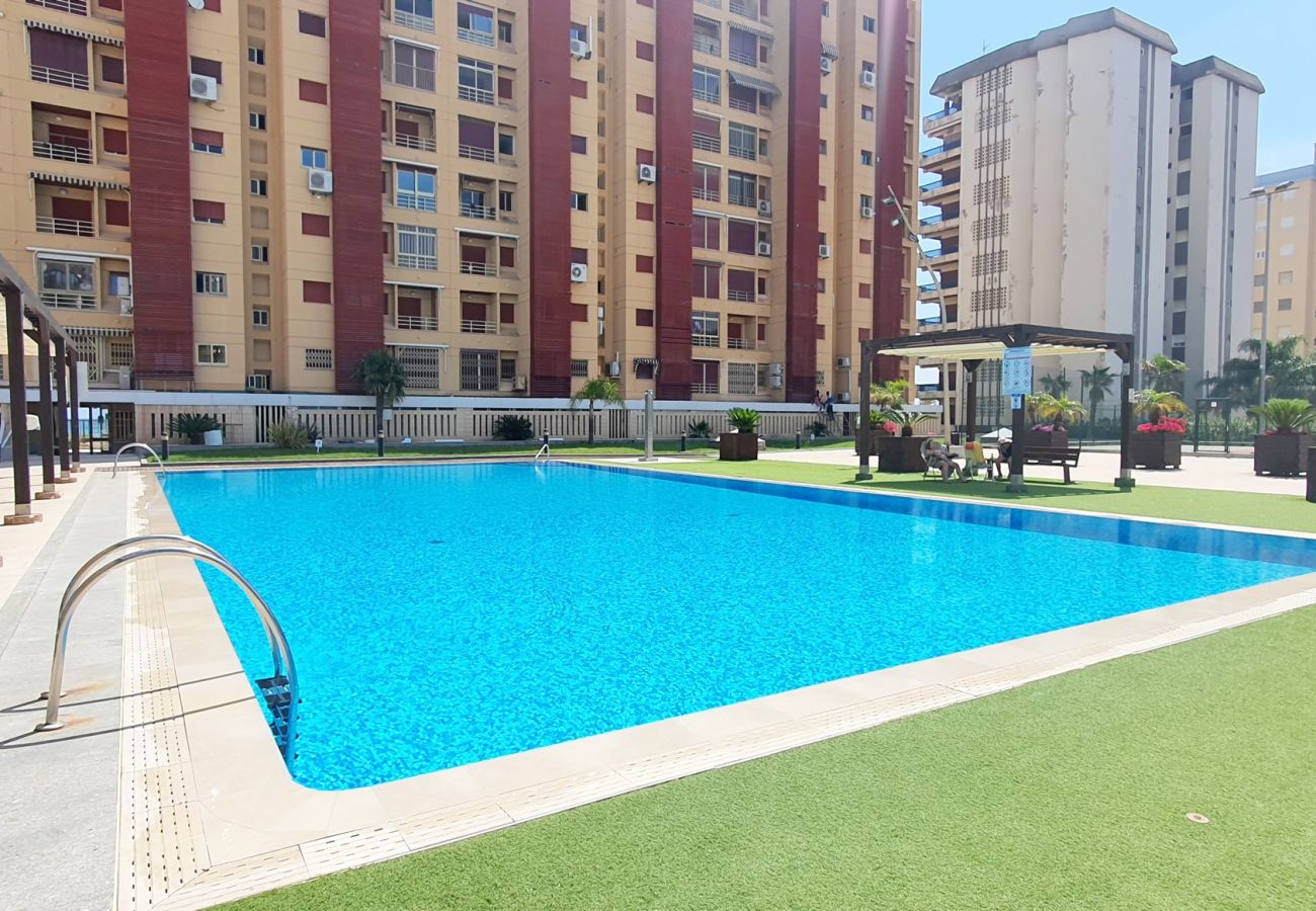 Apartamento en Gandia - BERMUDAS 5ª - 6º - I    /  PLAYA DE GANDIA