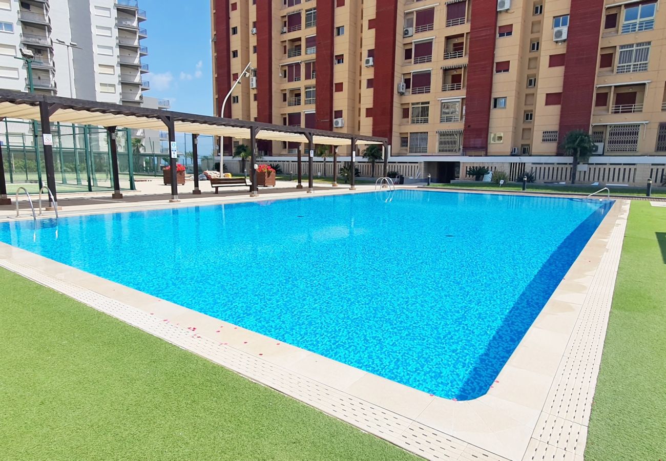 Apartamento en Gandia - BERMUDAS 5ª - 6º - I    /  PLAYA DE GANDIA